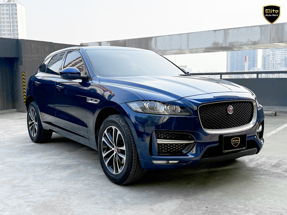 jaguar_web_06
